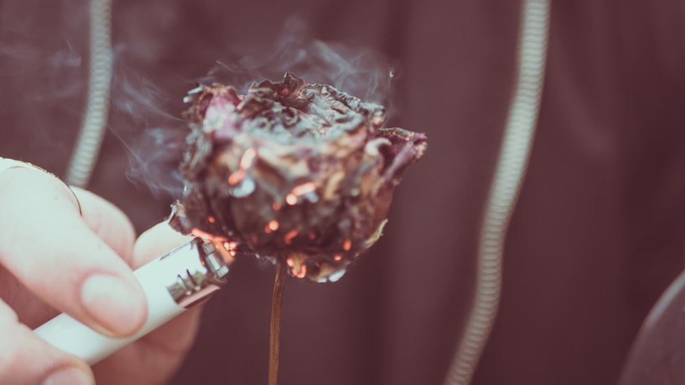 shallow focus photography of white single cigarette