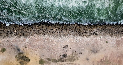 Aerial view of a coastline featuring a green ocean with waves crashing against a line of tetrapod breakwaters. The breakwaters are followed by a section of rocky terrain, leading into a sandy and grassy area.