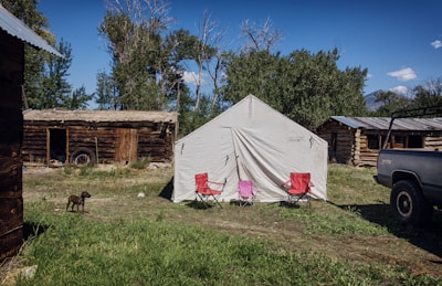 A white tent is set up on grassy ground with red and pink chairs in front of it. Surrounding the tent are rustic wooden cabins with weathered exteriors under a blue sky. A dog is walking nearby, and a black truck is parked to the right of the tent.
