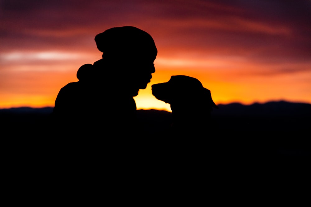 Silhouette einer Person vor dem Hund während des Sonnenuntergangs