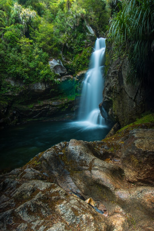 waterfalls in the forest in Wainui Falls New Zealand