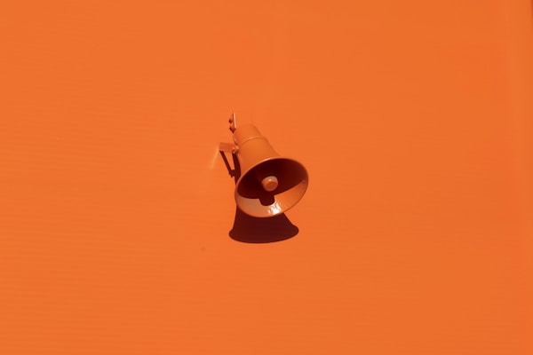 orange megaphone on orange wallby Oleg Laptev