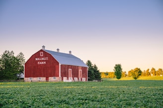 Walnut Farm surrounded by green grass