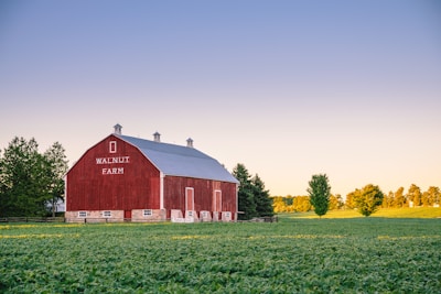 Walnut Farm surrounded by green grass
