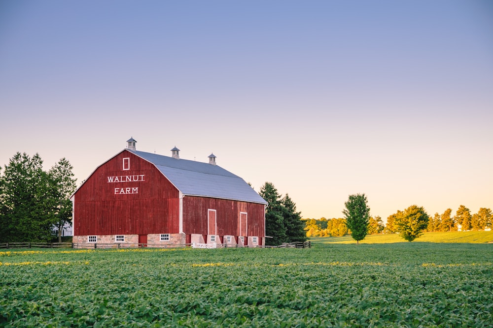 Walnut Farm surrounded by green grass