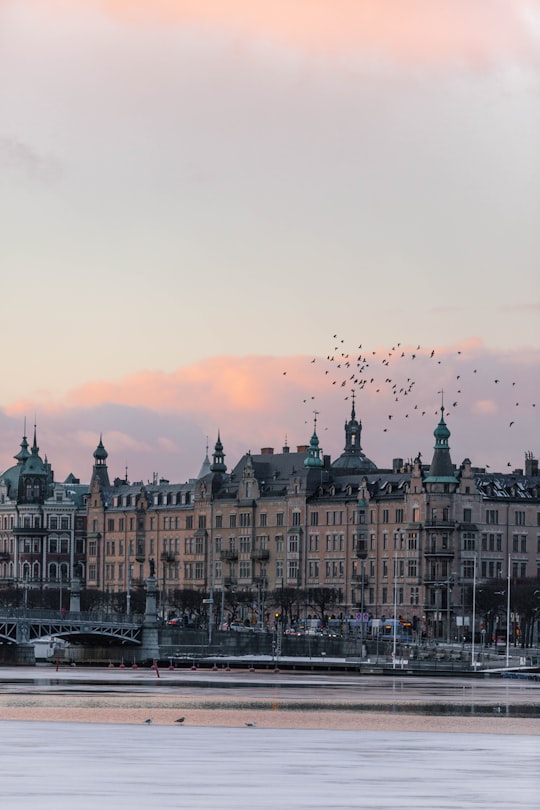 landscape photography of brown and white building in Strandvägen Sweden