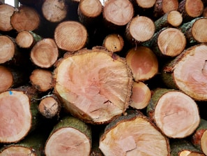 A stack of freshly cut tree logs with visible tree rings, indicating different stages of growth. The logs vary in size, with a combination of larger and smaller cuts. The outer bark is partially visible, and the wood has a rich, warm color with a coarse texture.