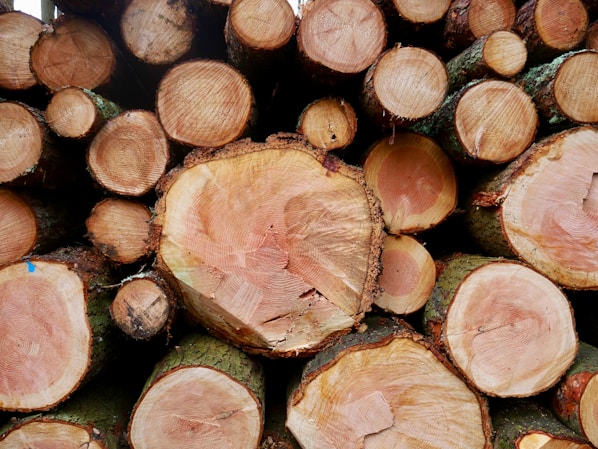 A stack of freshly cut tree logs with visible tree rings, indicating different stages of growth. The logs vary in size, with a combination of larger and smaller cuts. The outer bark is partially visible, and the wood has a rich, warm color with a coarse texture.