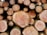 A stack of freshly cut tree logs with visible tree rings, indicating different stages of growth. The logs vary in size, with a combination of larger and smaller cuts. The outer bark is partially visible, and the wood has a rich, warm color with a coarse texture.