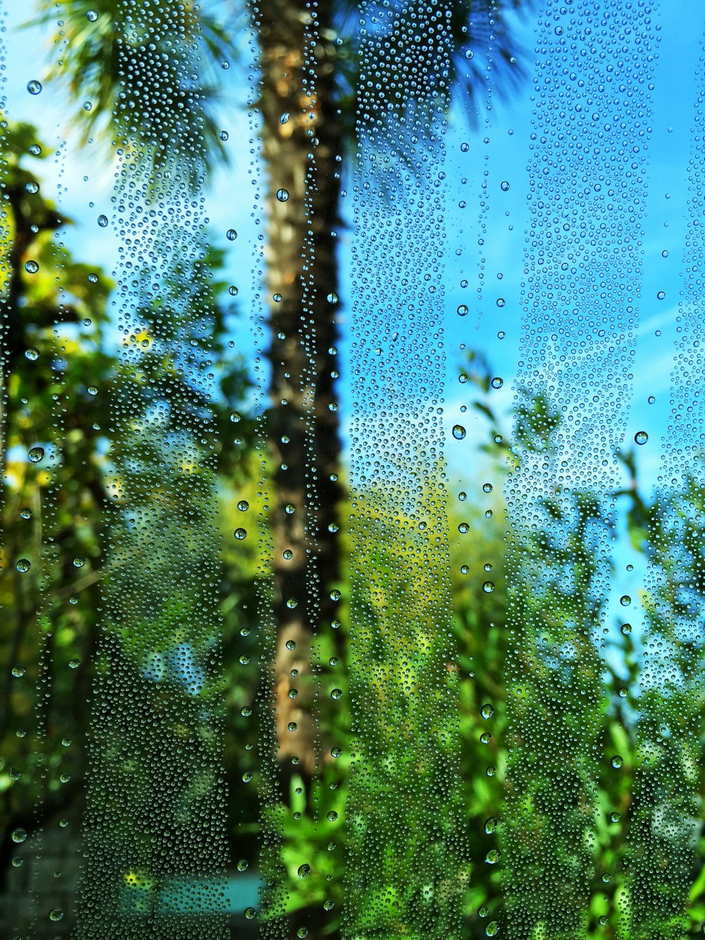 vidrio transparente con gotas de agua