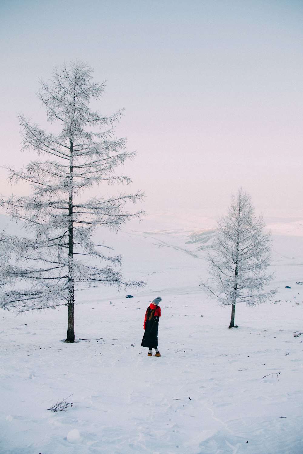 donna in piedi tra due pini bianchi durante il giorno