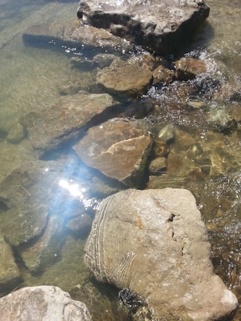 Sunlight reflects off the surface of clear water, highlighting the natural textures and colors of submerged rocks. The water gently flows over the stones, creating small ripples and a play of light and shadow.