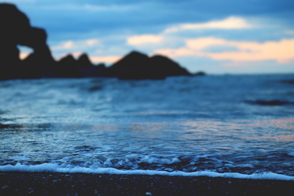 Photographie à mise au point peu profonde du rivage de la plage