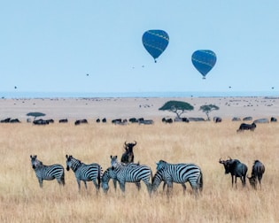 A beautiful African safari landscape with wildlife.