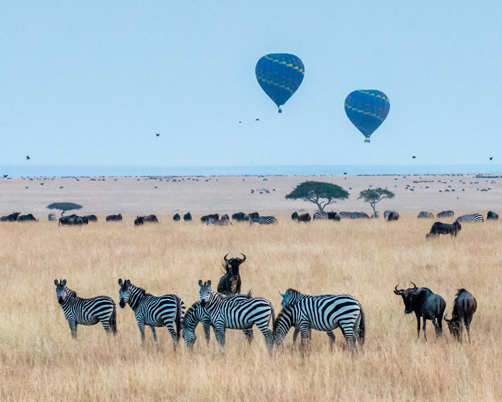 Kenya — view 3
