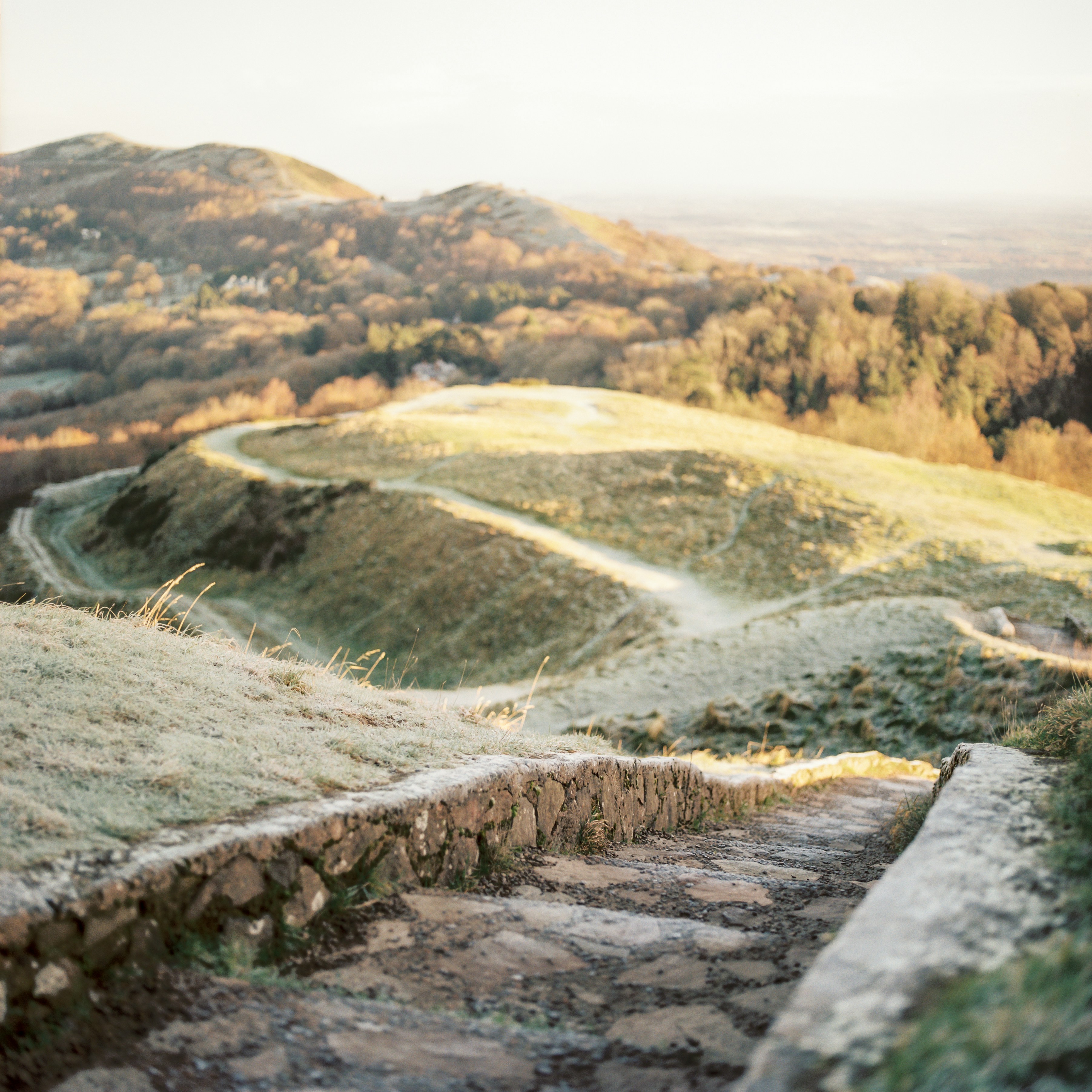 Denman, New South Wales