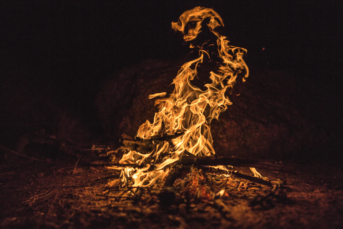Troncos de hoguera ardiendo de noche en la naturaleza