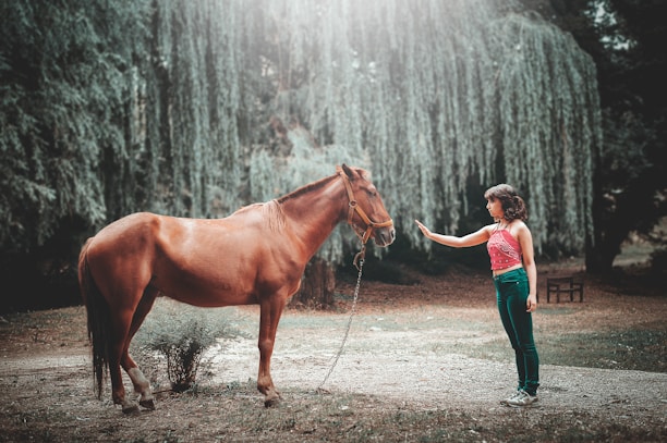 A woman stands facing a brown horse in a serene outdoor setting, surrounded by lush greenery. Her hand is raised as if interacting with the horse, creating a sense of connection. The background features tall, weeping trees and dappled sunlight filtering through the foliage, adding to the tranquil atmosphere.