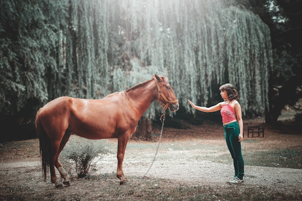 A woman stands facing a brown horse in a serene outdoor setting, surrounded by lush greenery. Her hand is raised as if interacting with the horse, creating a sense of connection. The background features tall, weeping trees and dappled sunlight filtering through the foliage, adding to the tranquil atmosphere.