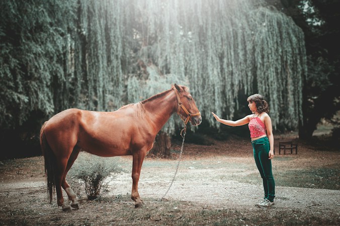 Équinoxe : prendre soin autrement grâce au cheval