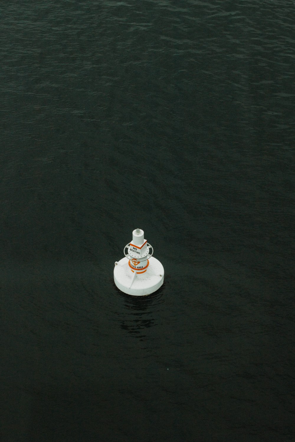 rundes weißes Ornament auf schwimmendem Gewässer