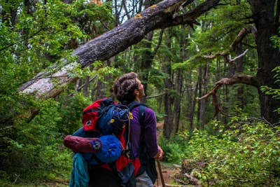man carrying hiking backpack surrounded with trees