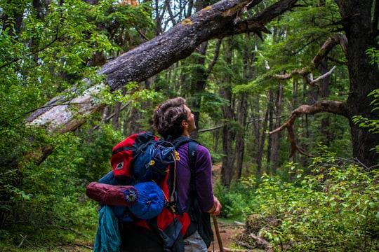 man carrying hiking backpack surrounded with trees in El Bolsón Argentina