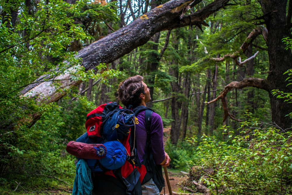 uomo che trasporta zaino da trekking circondato da alberi