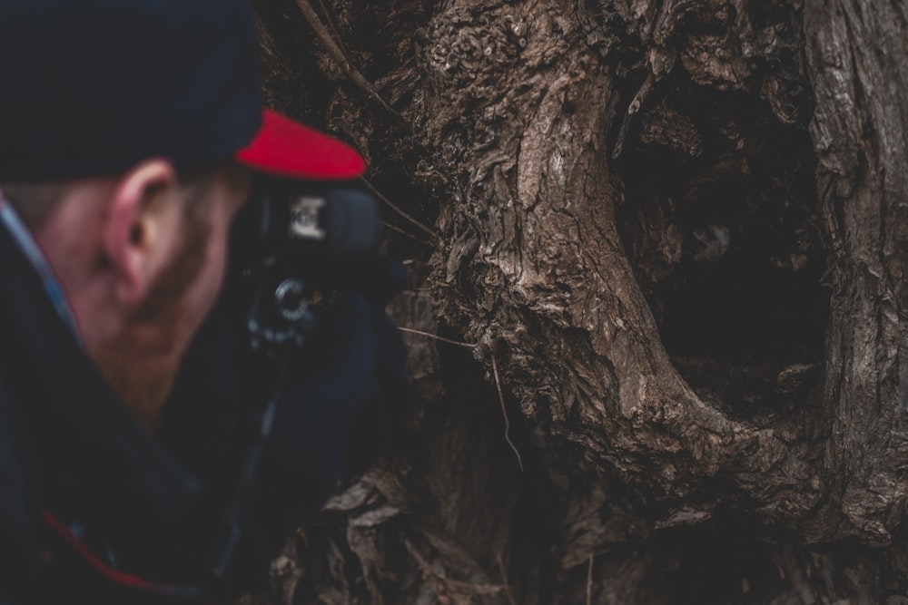 man taking photo of tree hollow during daytime