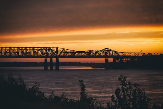 landscape photography of bridge during sunset in Tom Lee Park United States