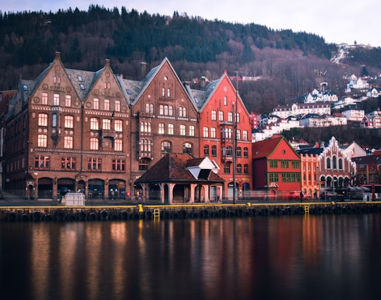 brown and red concrete building beside body of water in Fishmarket in Bergen Norway
