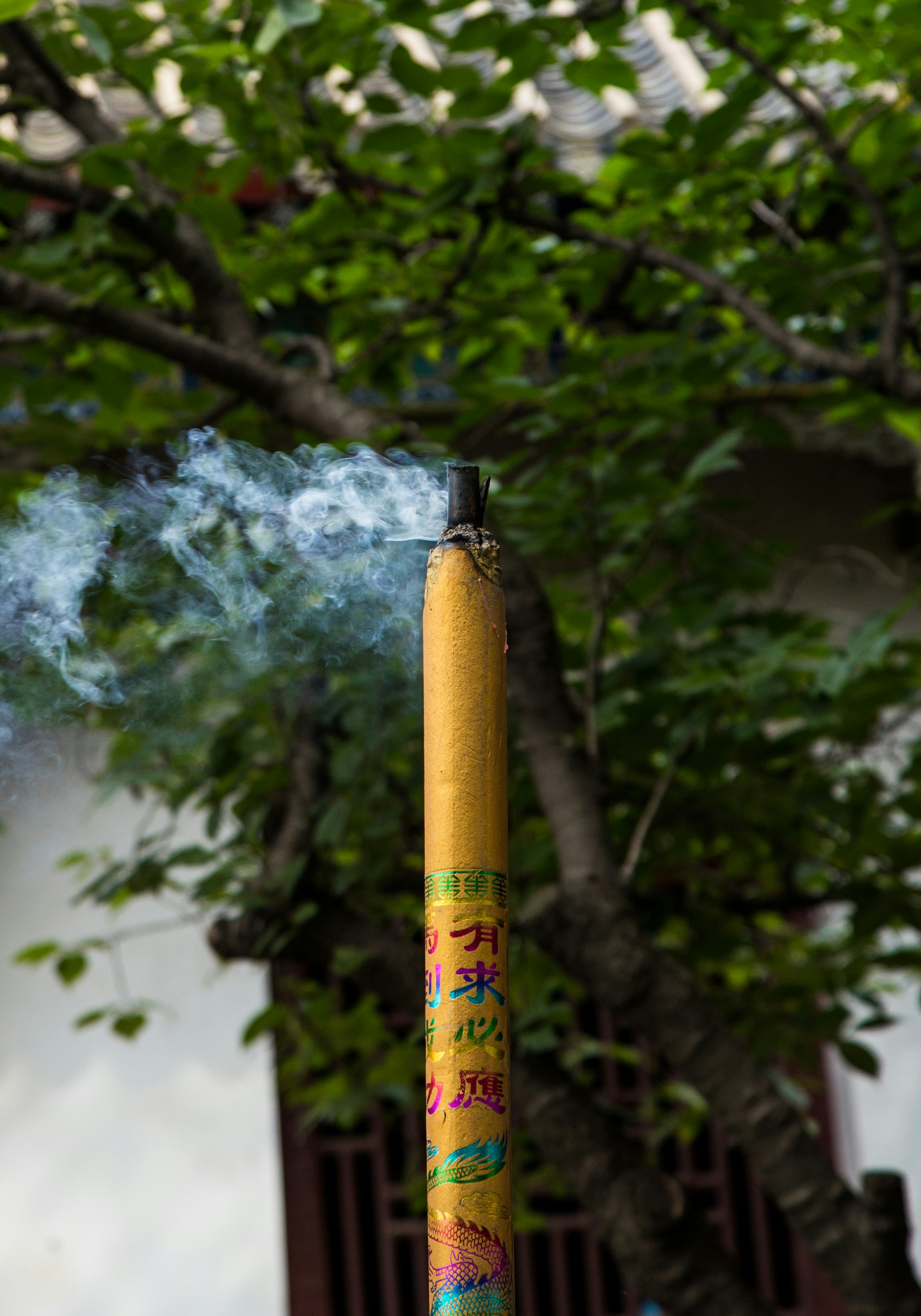 photo 1517878478816 1a34a3cf9fe9?ixlib=rb 4.0