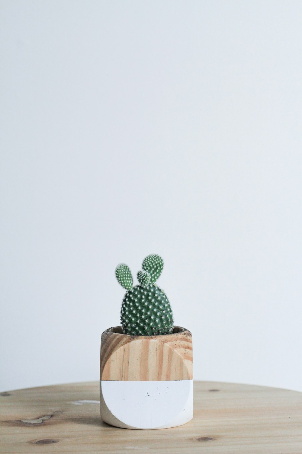 a small cactus sitting on top of a wooden table