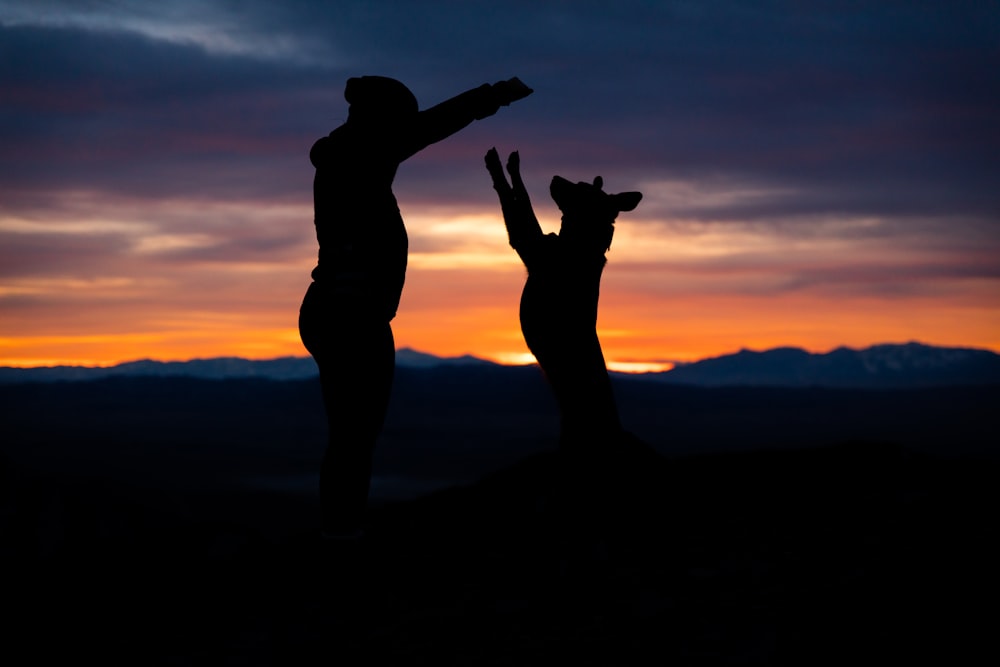 man and dog playing during golden hour