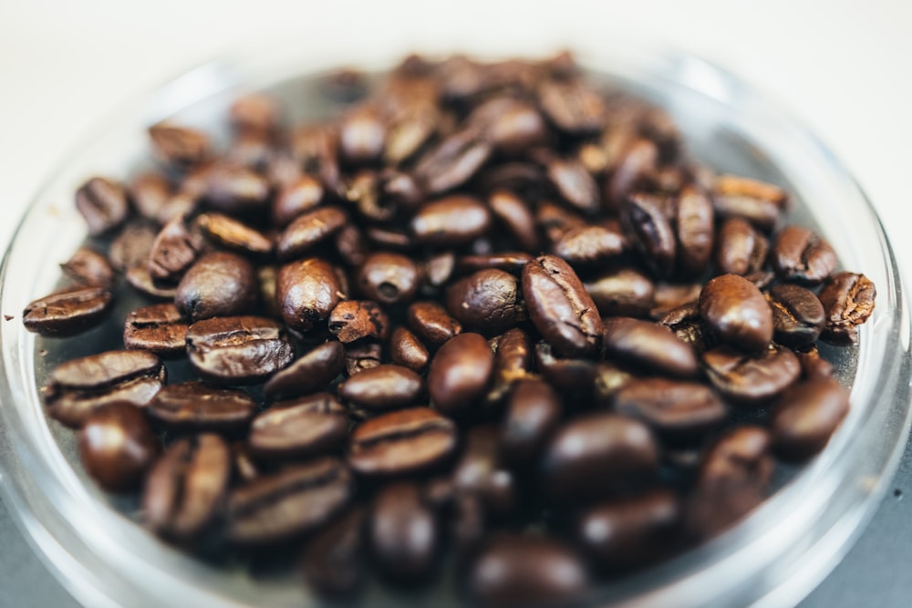 close-up photography of brown coffee beans