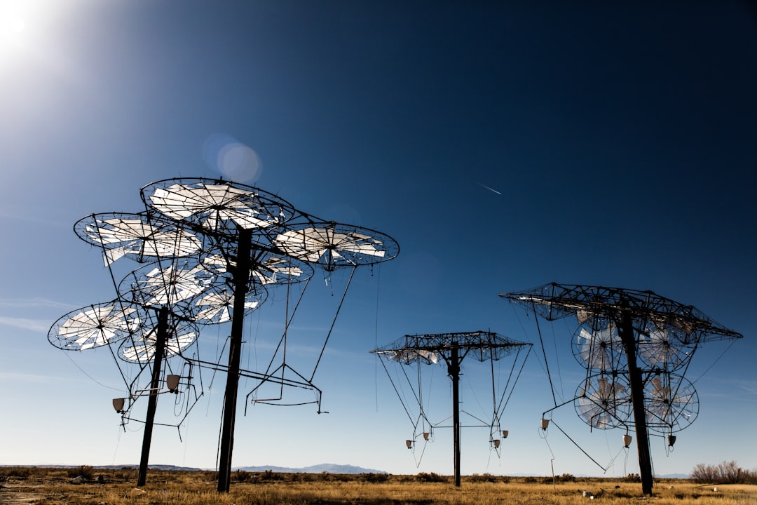 A.Vogel 전립선 1 오가닉 쏘팔메토 캡슐