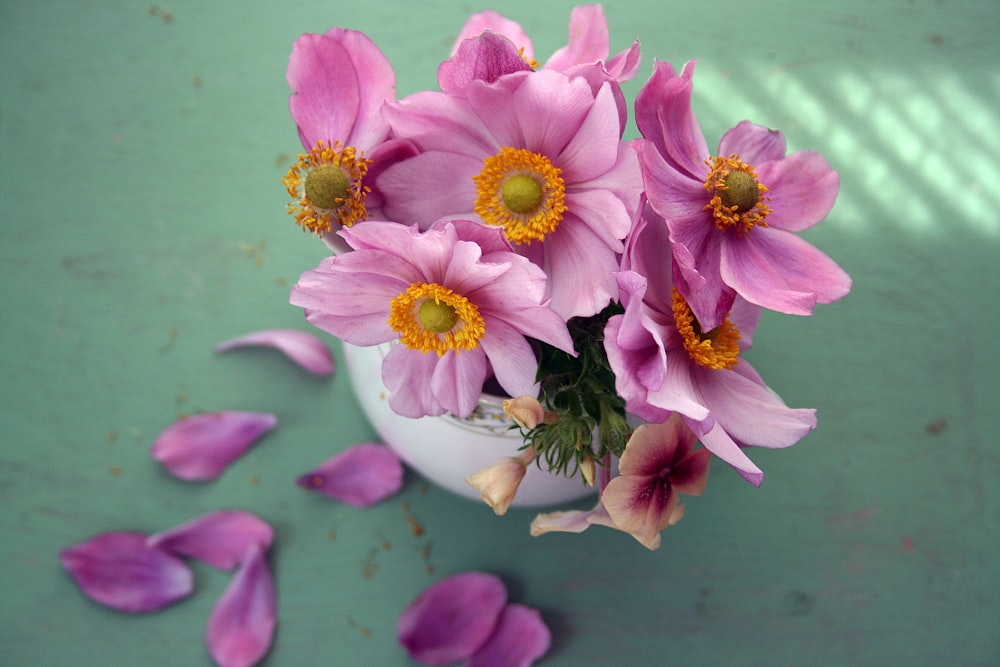 pink petaled flowers in vase