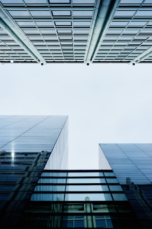 worm's-eye view of buildings
