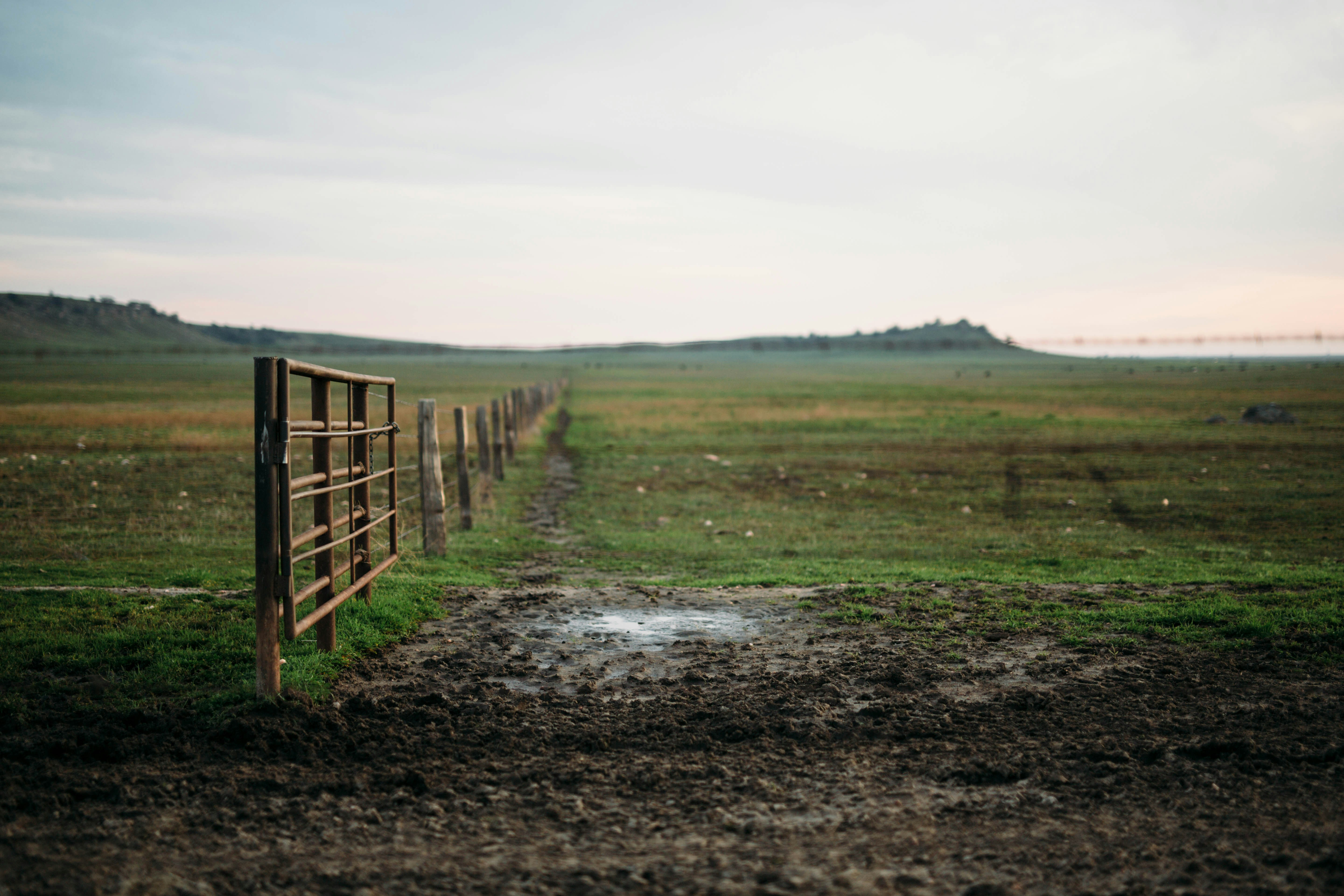 Photo by nate_dumlao