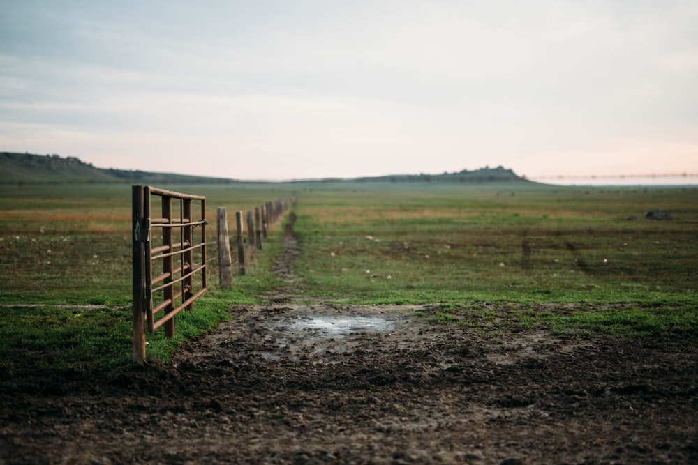 brown wooden fence on grass at daytime