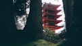red and brown temple structure at daytime