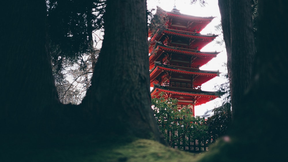 Estructura del templo roja y marrón durante el día