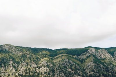 trees and grass covered mountain montenegro google meet background