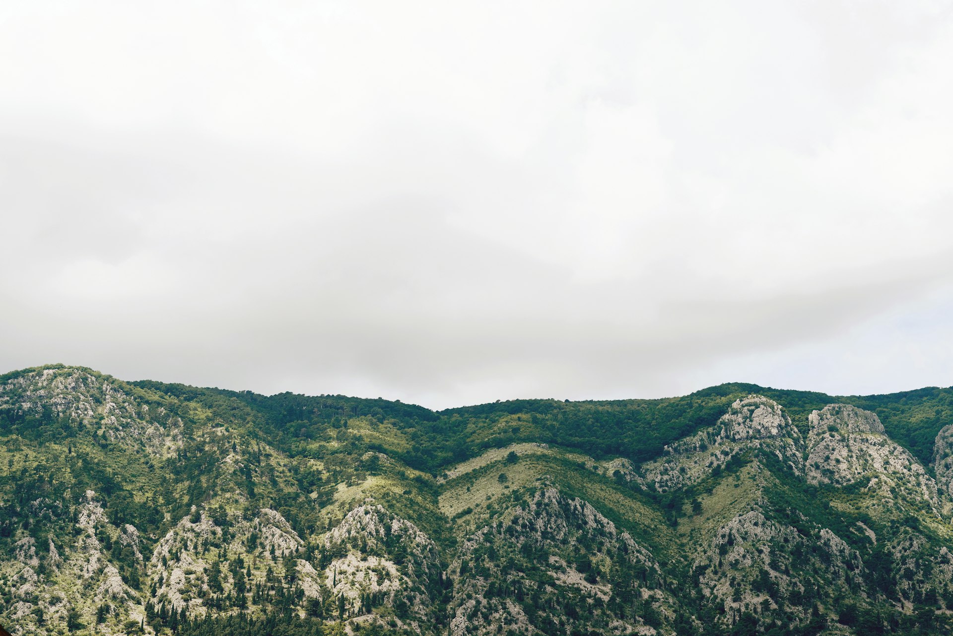 Green mountain landscape in Montenegro illustrating the wild nature and climate of the region