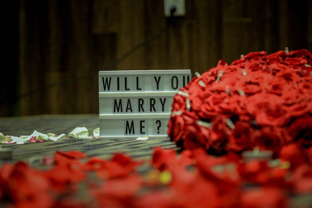 "will you marry me?" sign by Gift Habeshaw