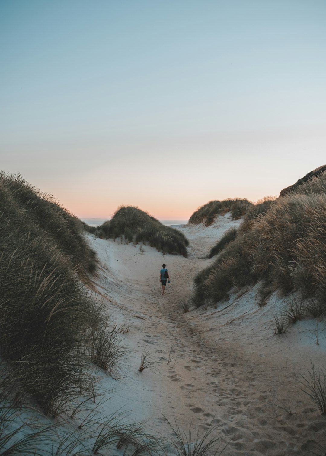 photo of Sandfly Bay Dune near Tunnel Beach Track