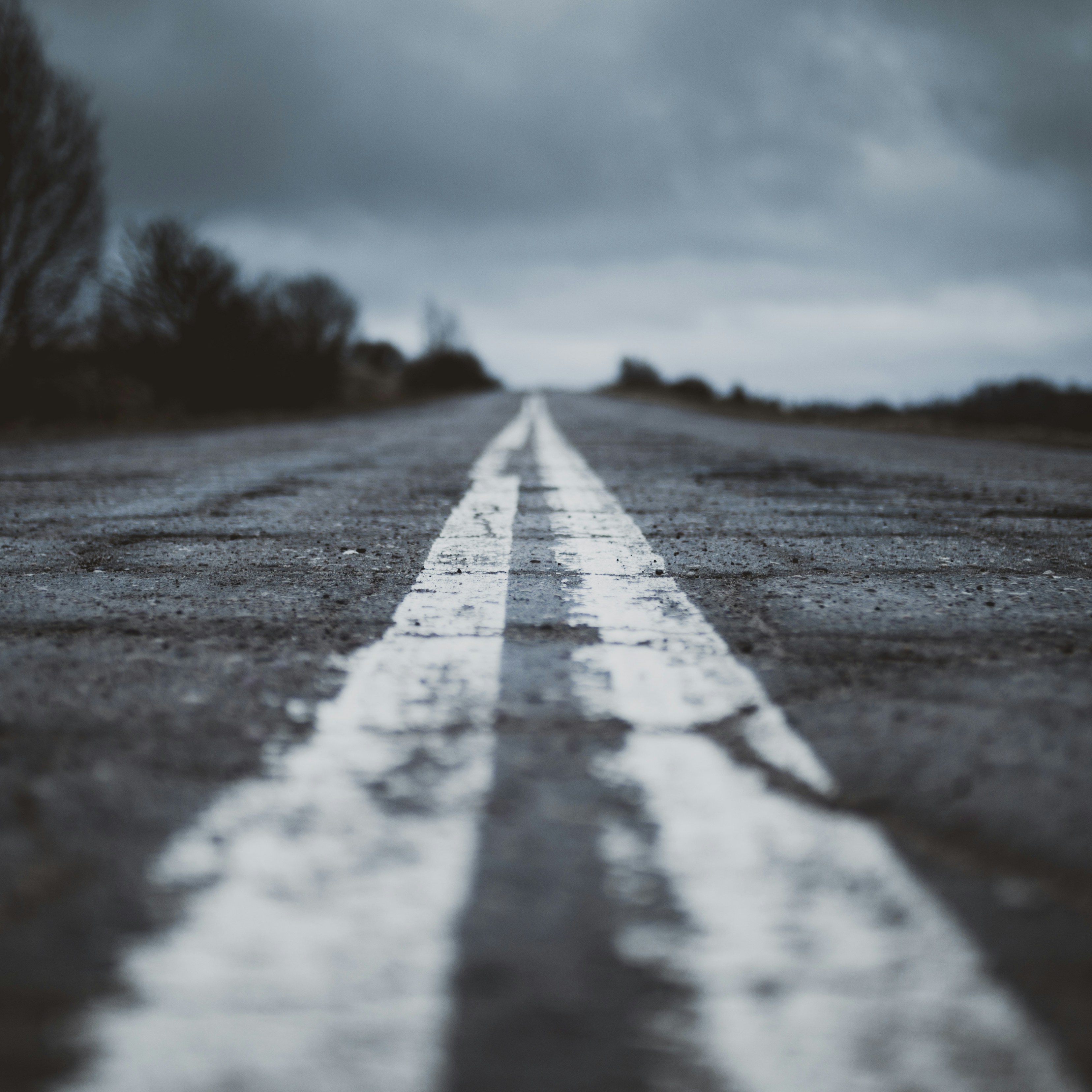 gray road with white line paint