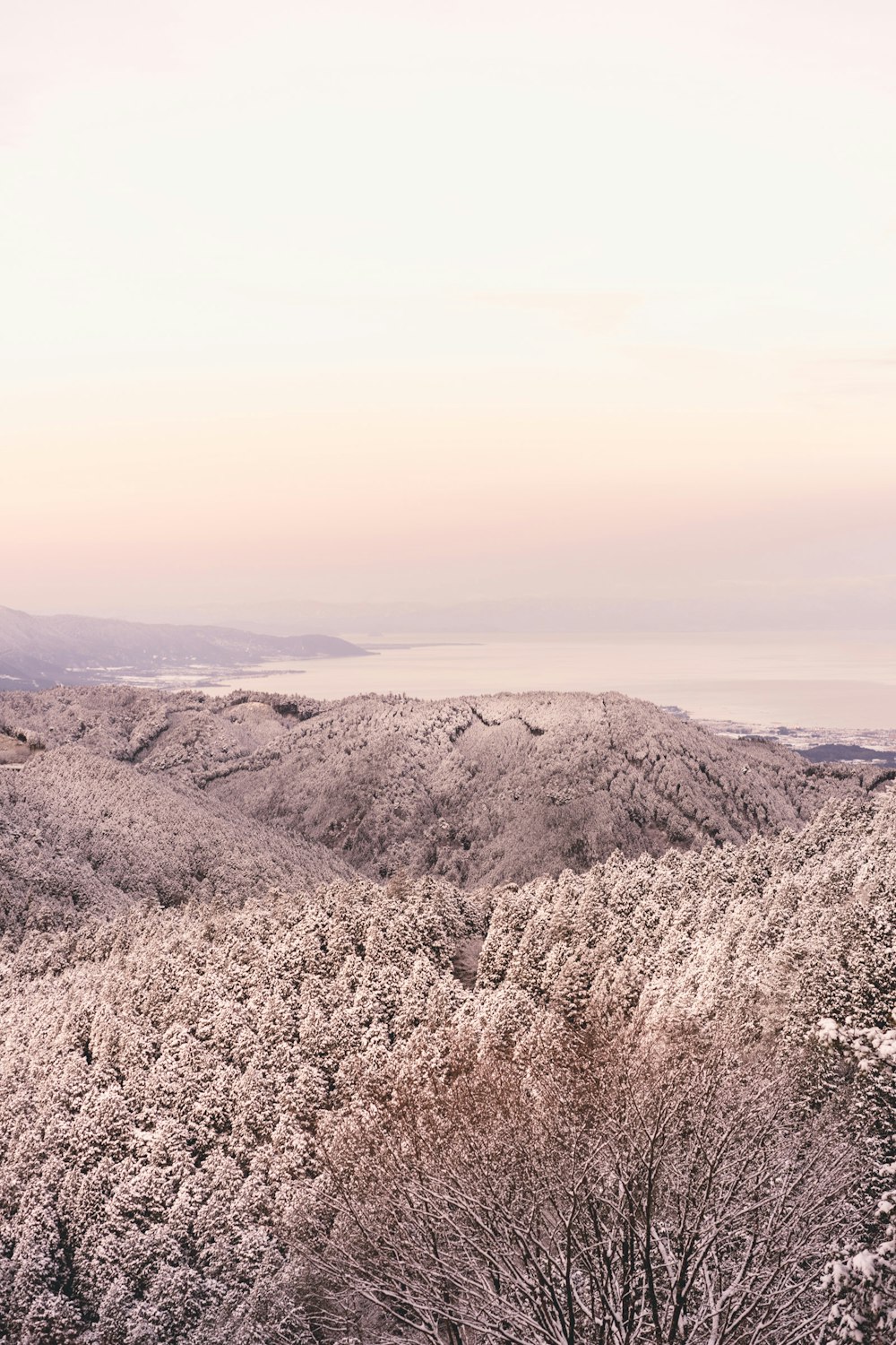 sepia photography of mountains