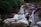 woman lying on large stone between flowing river