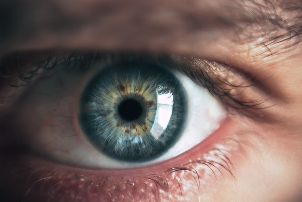 Boy with gold eye photo – Free Human Image on Unsplash